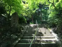 上醍醐寺の写真・動画_image_371501