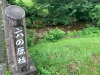 ひろしま県民の森の写真・動画_image_372678