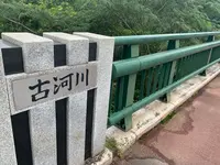 武士の滝の写真・動画_image_372898
