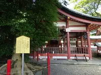 津島神社の写真・動画_image_372921