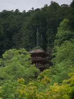 長谷寺の写真・動画_image_373765