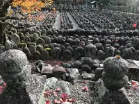 化野念仏寺の写真・動画_image_374164