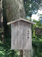 宇治神社の写真・動画_image_375941