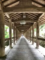 長谷寺の写真・動画_image_377974