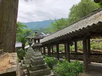 長谷寺の写真・動画_image_377975