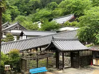 長谷寺の写真・動画_image_377976