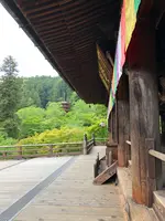 長谷寺の写真・動画_image_377977
