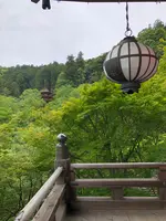 長谷寺の写真・動画_image_377978
