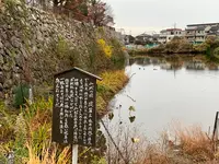 淀城跡公園の写真・動画_image_378729