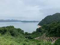 ところミュージアム大三島の写真・動画_image_379105