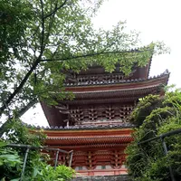 向上寺の写真・動画_image_381631