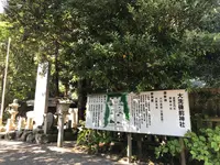 大洗磯前神社の写真・動画_image_383134