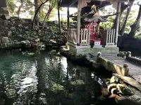 泉神社の写真・動画_image_384657