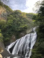 袋田の滝の写真・動画_image_388164