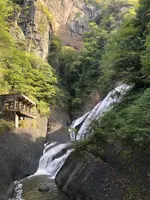袋田の滝の写真・動画_image_388165