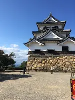彦根城の写真・動画_image_390637