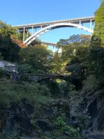 神橋の写真・動画_image_392371