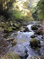 天岩戸神社の写真・動画_image_392471
