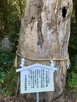 大山祇神社の写真・動画_image_395410