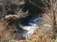 竜頭ノ滝の写真・動画_image_395899