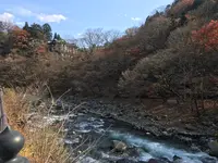 神橋の写真・動画_image_396045