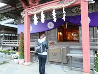 大洗磯前神社の写真・動画_image_399255