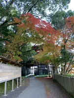 金峯山寺（蔵王堂）の写真・動画_image_399306