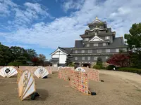 岡山城の写真・動画_image_401701