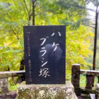 榛名神社の写真・動画_image_401803