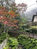 榛名神社の写真・動画_image_401806