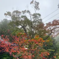 榛名神社の写真・動画_image_401851