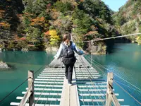 夢の吊橋の写真・動画_image_402415