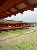 厳島神社の写真・動画_image_402693