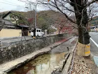 紺屋川美観地区の写真・動画_image_405193