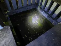 立石稲荷神社（立石様）の写真・動画_image_405301