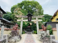天津神社の写真・動画_image_407812