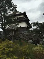 福岡城潮見櫓の写真・動画_image_410097