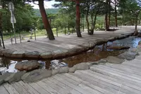 えびの高原温泉足の湯の写真・動画_image_410488