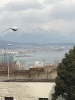 大津ＳＡの写真・動画_image_412690