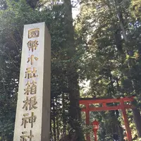 箱根神社の写真・動画_image_413413