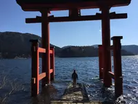 箱根神社の写真・動画_image_413414