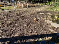 宝来公園の写真・動画_image_414164