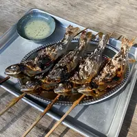 養沢フィッシングランドの写真・動画_image_414761
