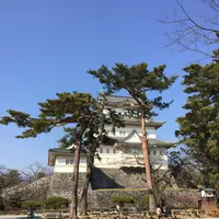 小田原城の写真・動画_image_415006