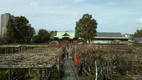 亀戸天神社の写真・動画_image_416013