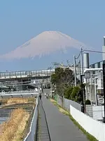 東海道南湖左富士之碑の写真・動画_image_416487