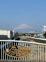 東海道南湖左富士之碑の写真・動画_image_416488