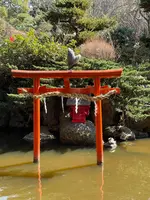 平塚八幡宮の写真・動画_image_416523