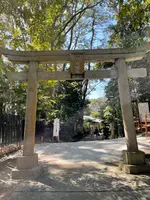 平塚八幡宮の写真・動画_image_416529
