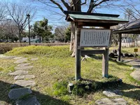 平塚の塚緑地の写真・動画_image_416539